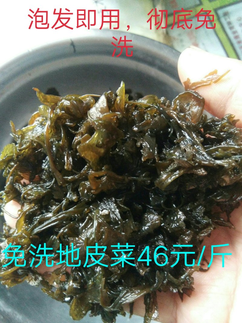 地皮菜，农家直销，一手货源，