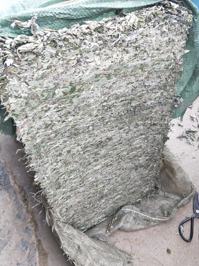 艾叶，品质保证，大量有货，欢迎大家来电咨询