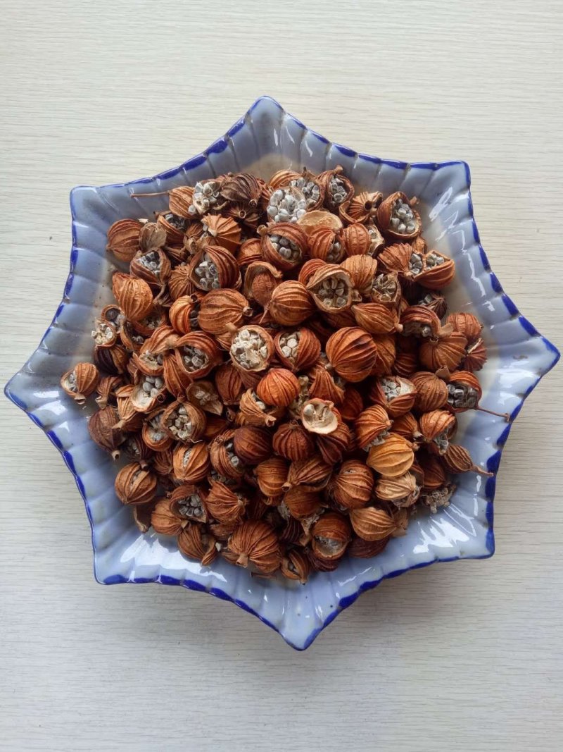 川沙仁：还有火锅配方料，冒菜配方，串串配方料，卤菜配方料