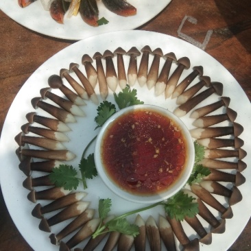 鸡枞菌