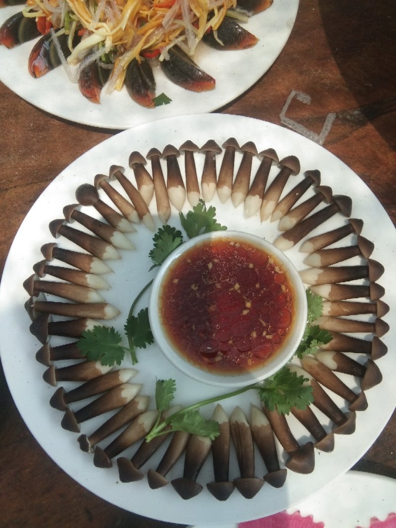 鸡枞菌