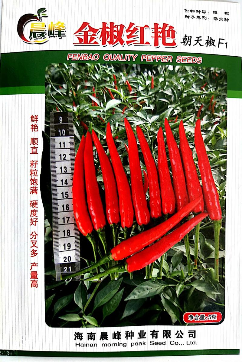 金椒红艳，高产抗病大果型朝天椒，，顺直光滑，品质保障