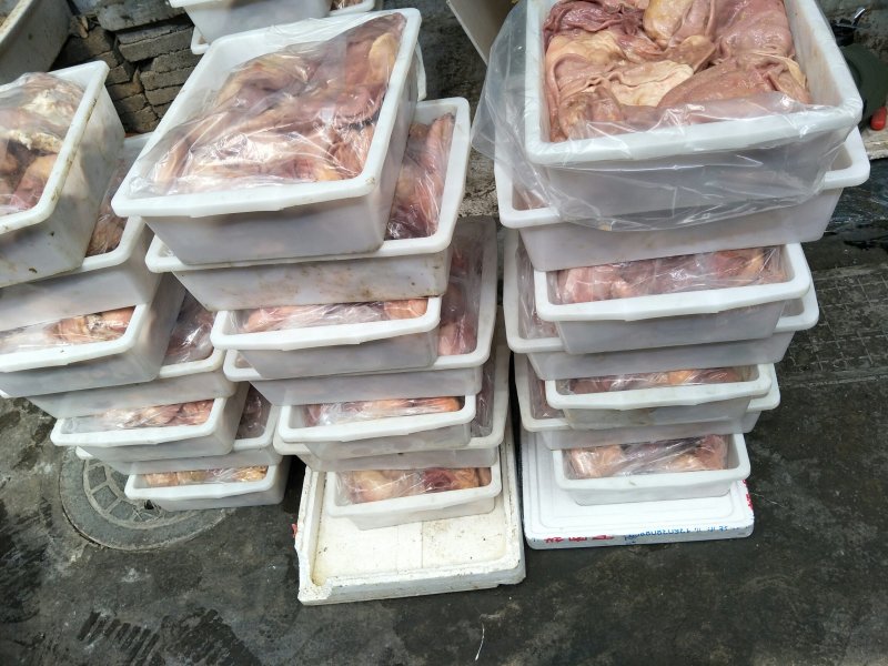 鲜冻猪肚50件起发货鲜，冻都有