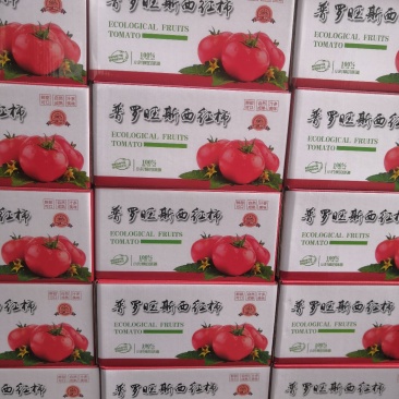 山东海阳普罗旺斯西红柿，落地配，社团，产地直发，一级代办