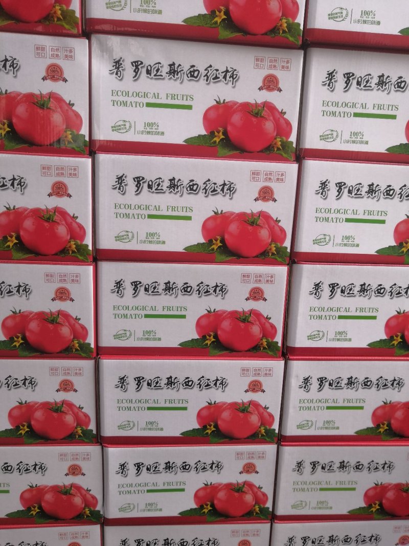 山东海阳普罗旺斯西红柿，落地配，社团，产地直发，一级代办