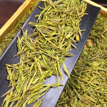 黄金芽安吉白茶500g包邮实物拍摄