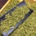 黄金芽安吉白茶500g包邮实物拍摄