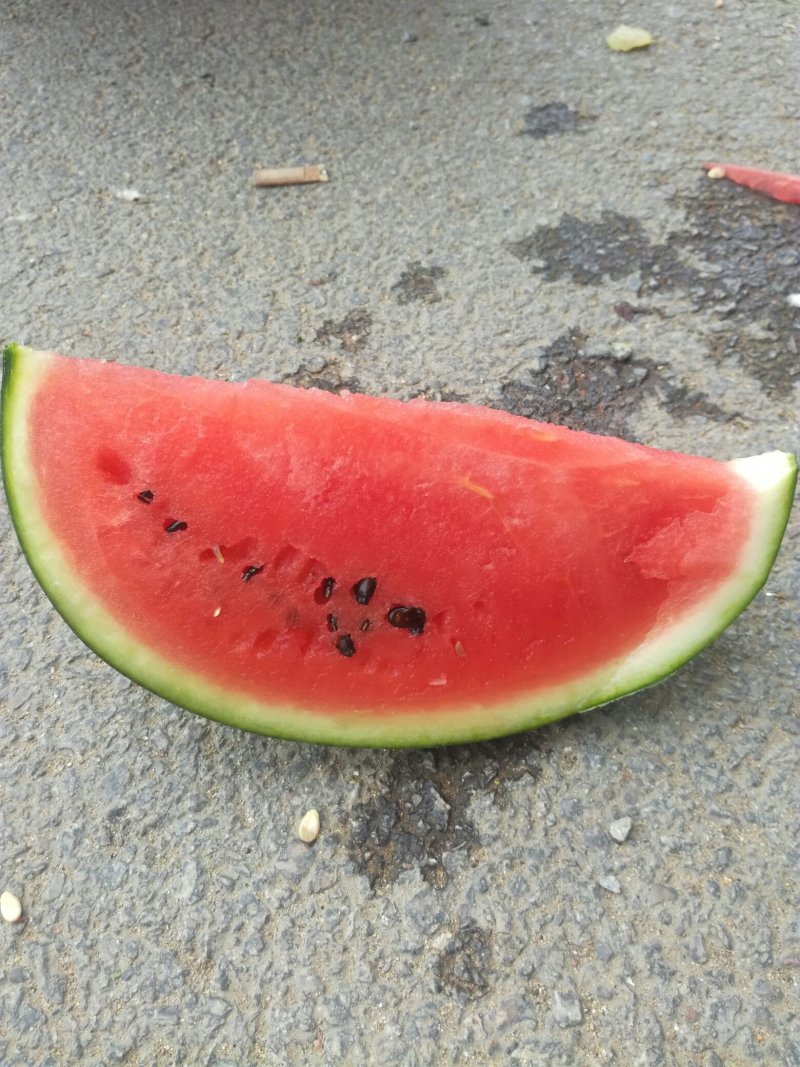 。甜王西瓜