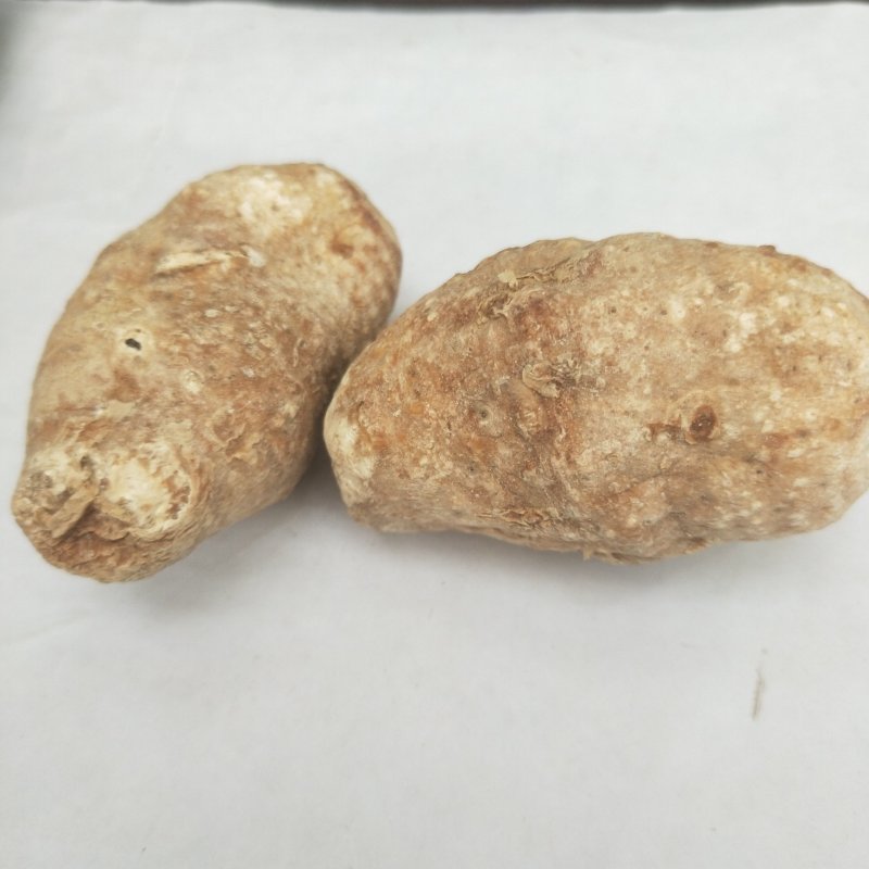 中药材禹白附