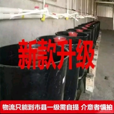 鱼苗孵化桶、孵化加热棒全国发货欢迎咨询下单
