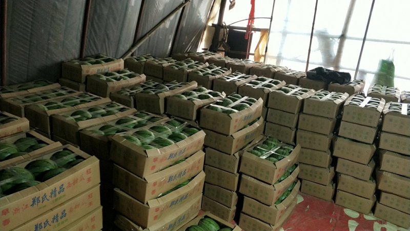 【浙江精品】早春红玉产地直发甘美4k品种齐全诚信经营