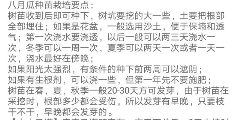 果树苗改良品种八月瓜苗木通八月炸水果野香蕉新奇藤本果树盆