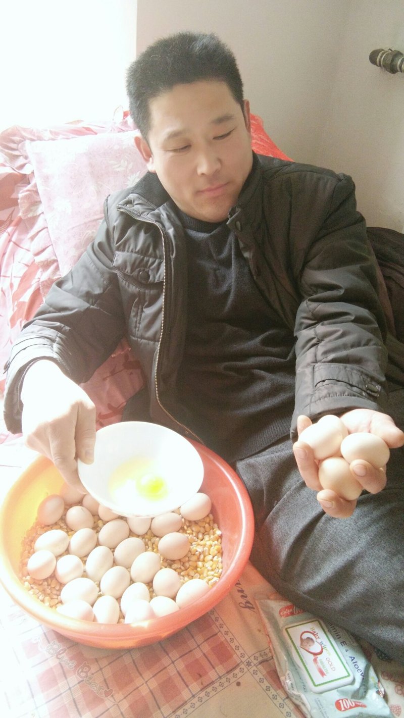 纯粮喂养三年以上老母鸡，一年多大红公鸡