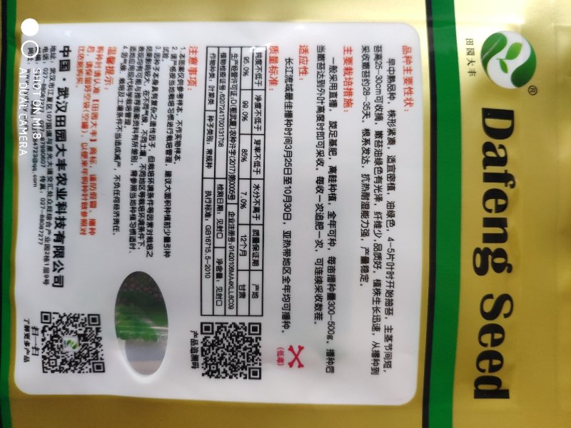 四季油青甜脆菜心种子早熟株型紧凑油绿色播种收获28天