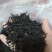 潮州，凤凰单枞茶鸭屎香