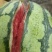 夏邑8424西瓜🍉🍉，货源充足，，，