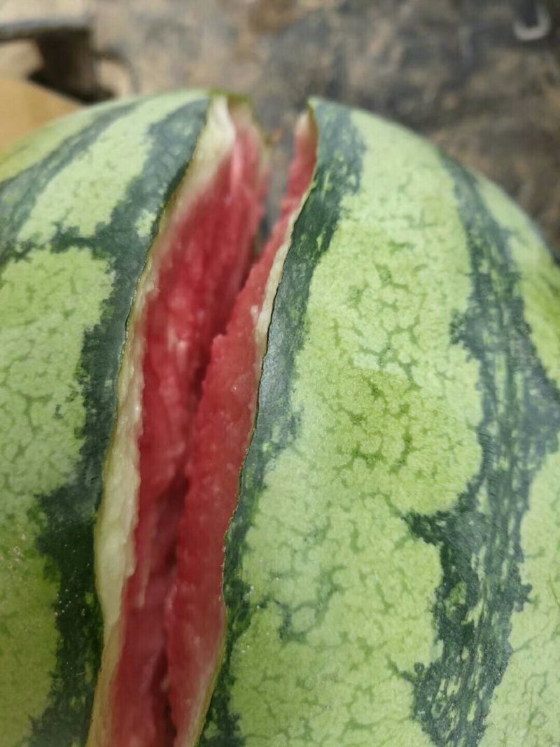 夏邑8424西瓜🍉🍉，货源充足，，，