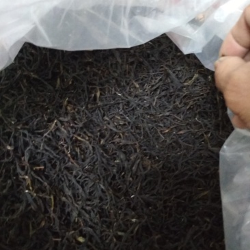潮州市凤凰单枞奇兰香