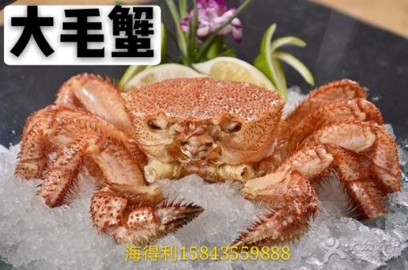 板蟹，毛蟹