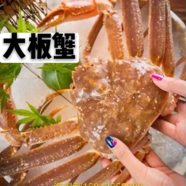 板蟹，毛蟹