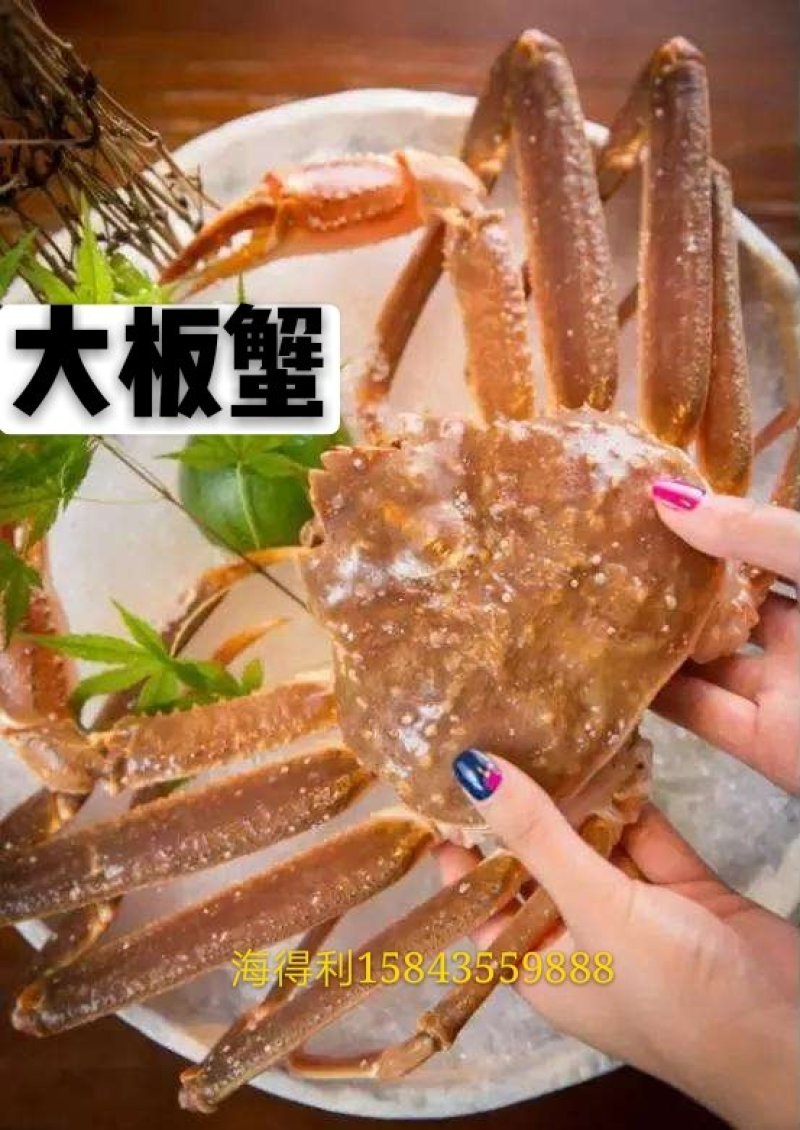 板蟹，毛蟹