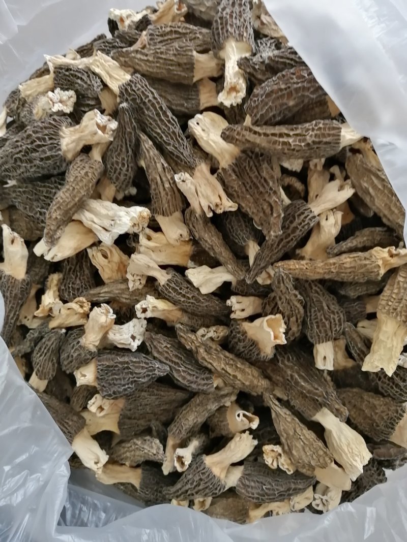 羊肚菌干品