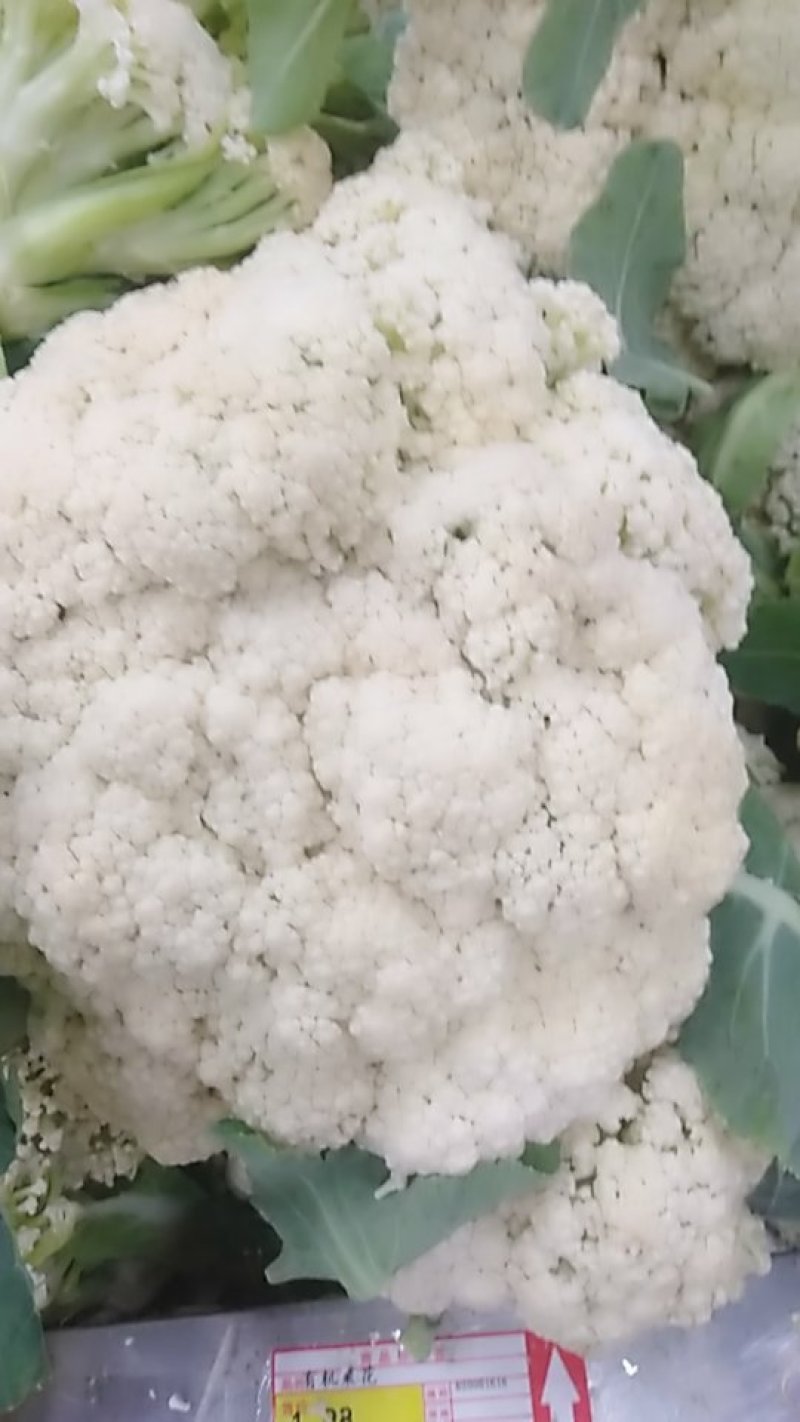 花菜有机散花青更白面基地直供超可供市走市场万亩基地量大