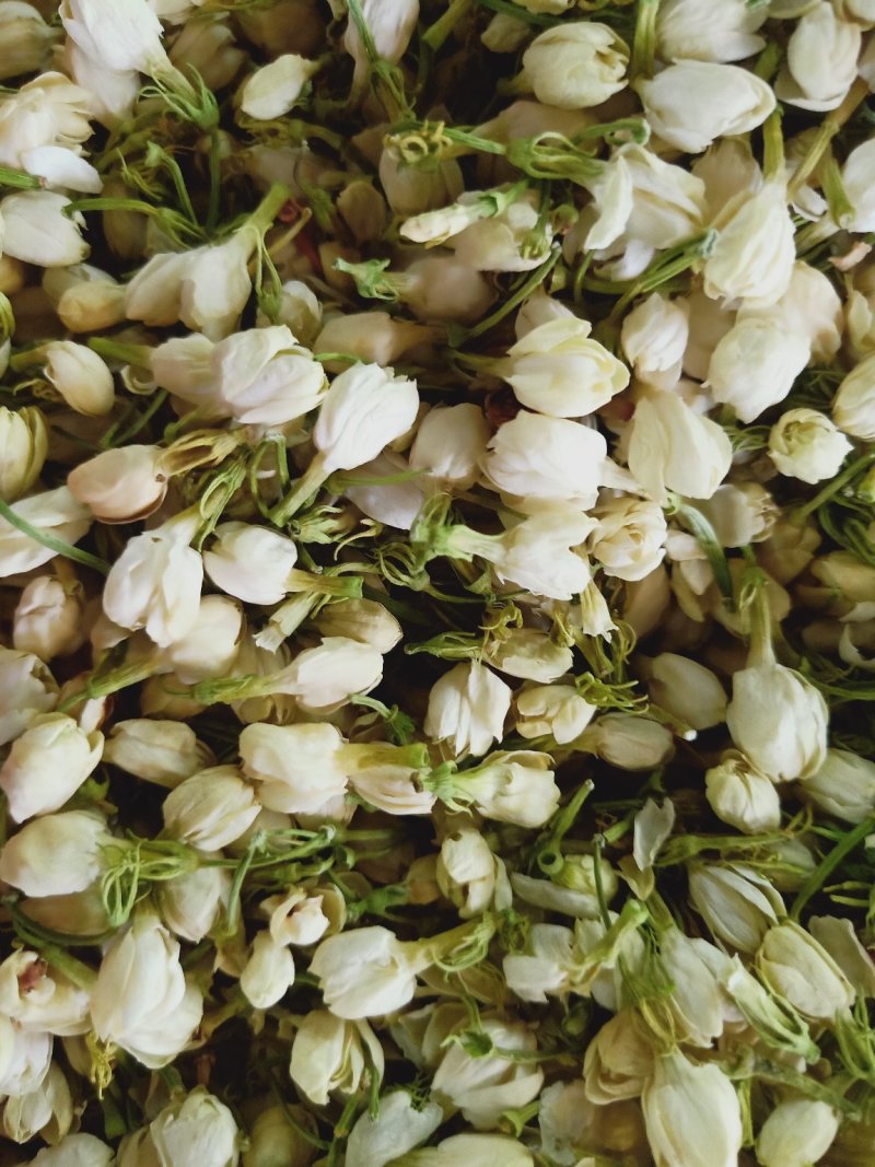 茉莉花