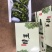 【云南葡萄】阳光玫瑰葡萄皮薄肉厚脆甜可口手留余香欢迎咨询