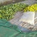 白莎蜜甜瓜0.5斤以上通货，产地直发。欢迎进店联系