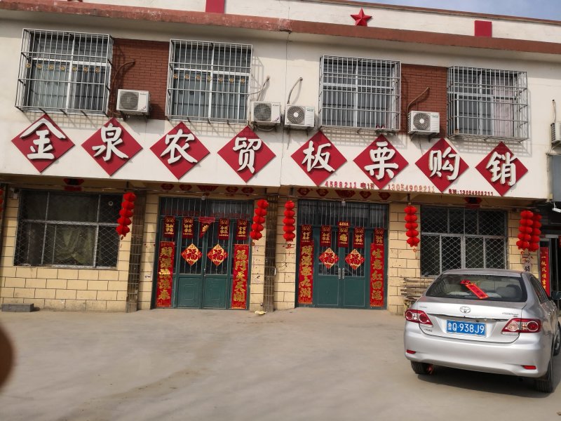 金泉板栗