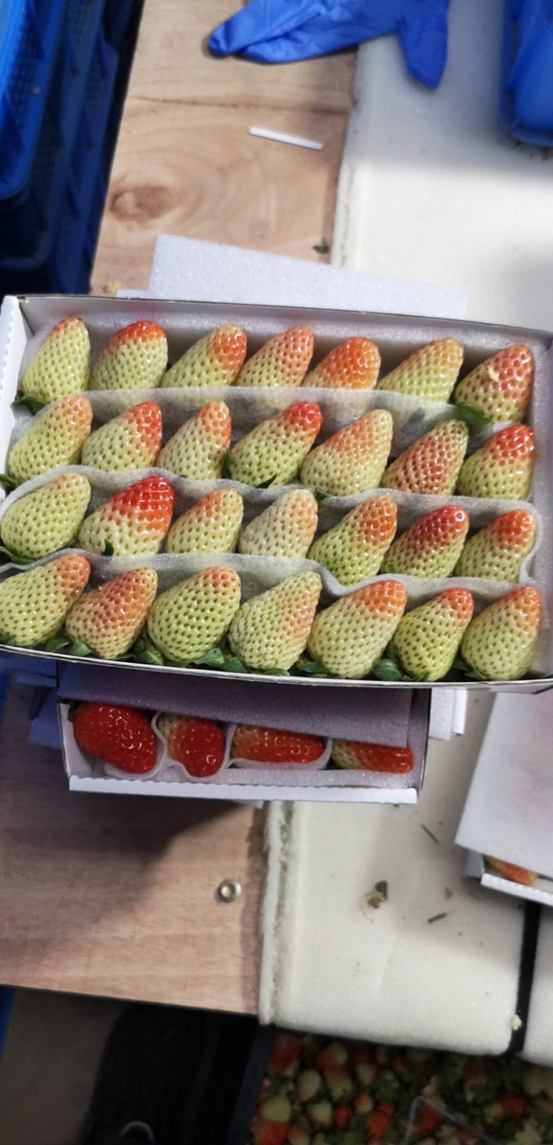 草莓，四季草莓，夏草莓，蛋糕烘培草莓商用草莓蒙特瑞草莓