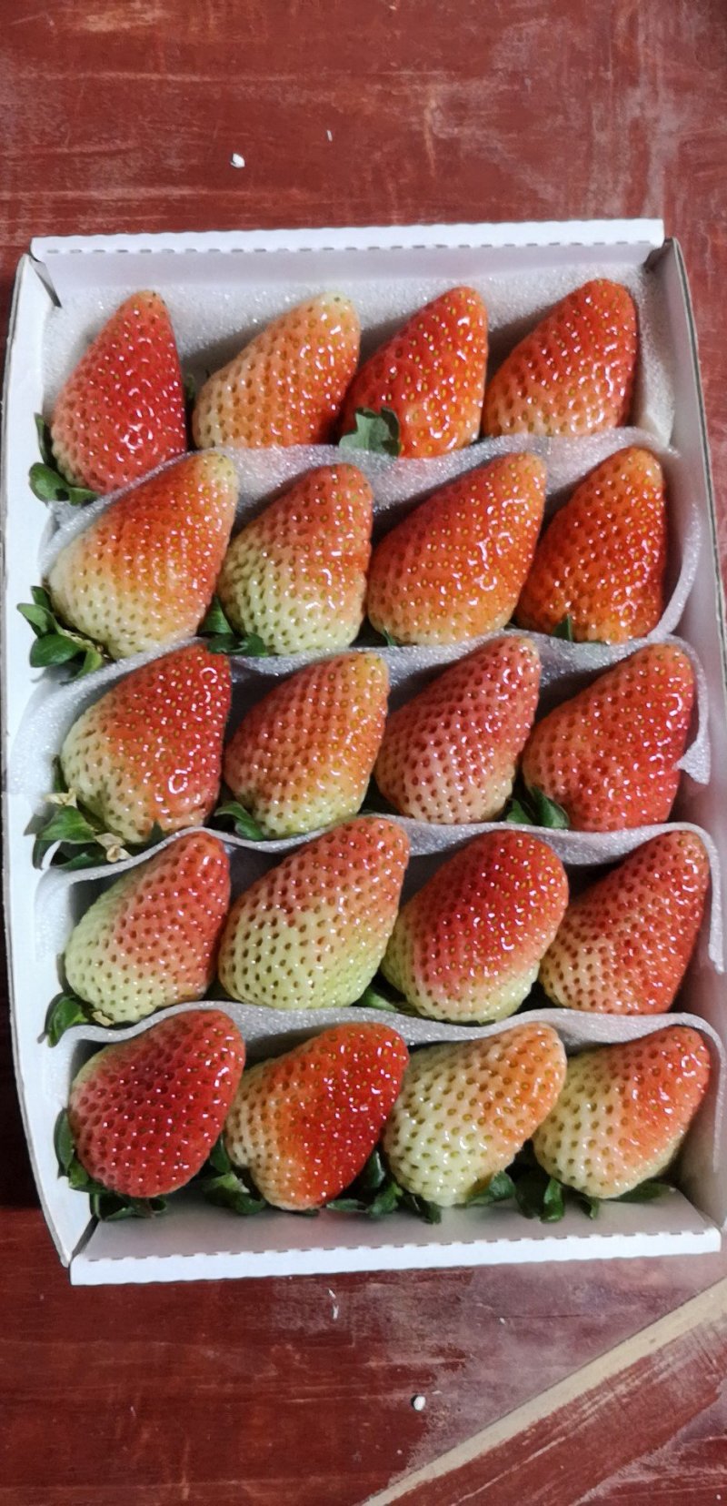 草莓，四季草莓，夏草莓，蛋糕烘培草莓商用草莓蒙特瑞草莓