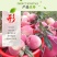 雪桃苗晚熟品种,甜度高,多个品种免费后期指导