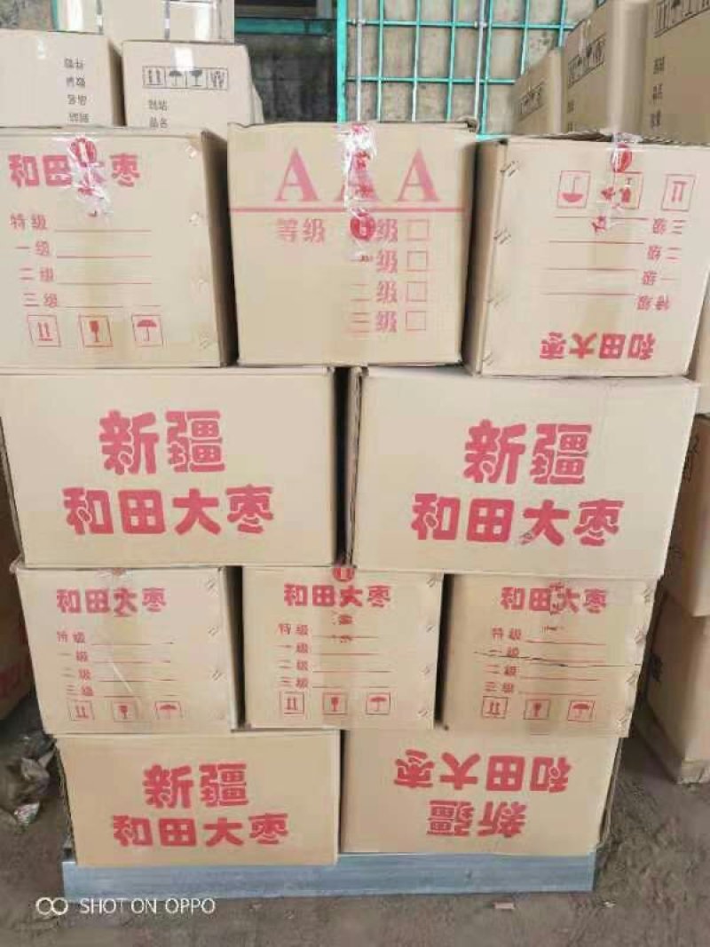 【品质保障】新疆和田大枣厂家供应货源足保质保量