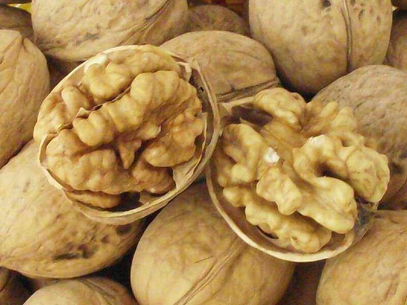 【品质好】新疆薄皮核桃厂家直供一手货源