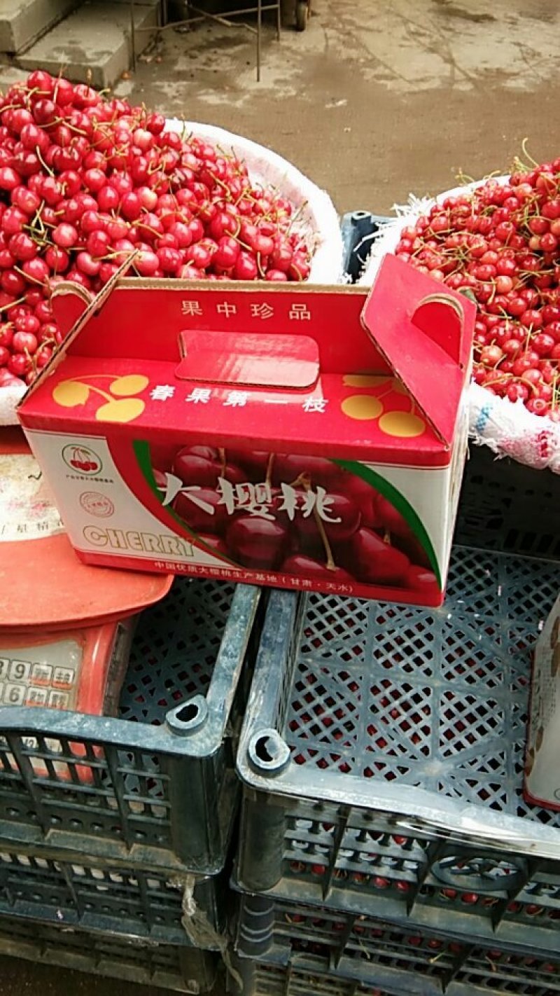 天水大樱桃上市了