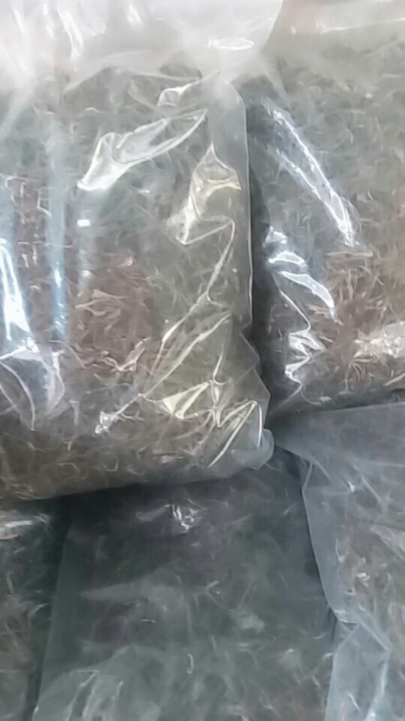 纯手工加工古树茶