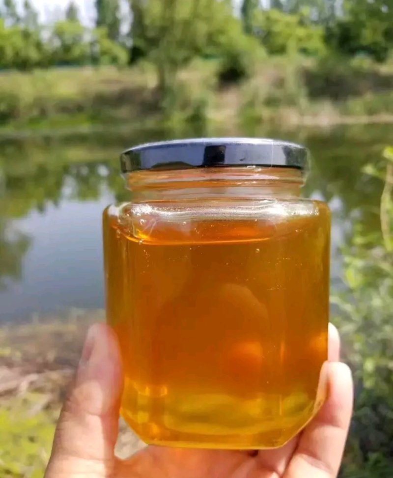 缅甸纯野生蜂蜜