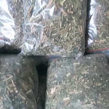 绞股蓝茶（降三高）