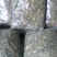 绞股蓝茶（降三高）