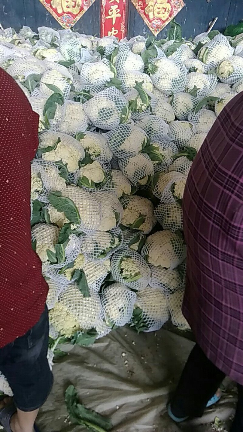 有机花菜