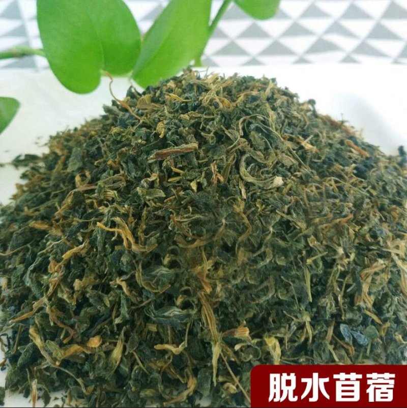 脱水干苜蓿长期合作饺子包子连锁店食品厂