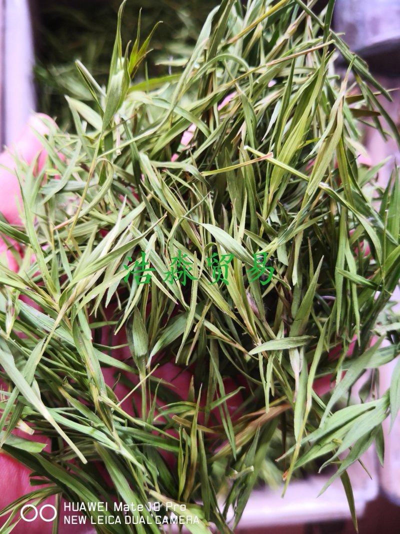 竹叶干货散装药食同源2斤起包邮量大从优