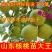 8518核桃苗，皮薄，肉多，基地直供包品种免费后期指导