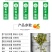 脆皮金桔苗,甜的,可以吃的,带果发货免费后期指导