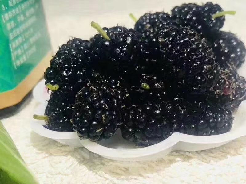 攀枝花黑桑泡椹干500克装