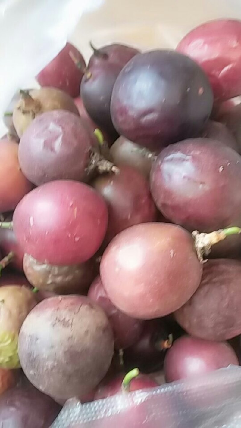 百香果