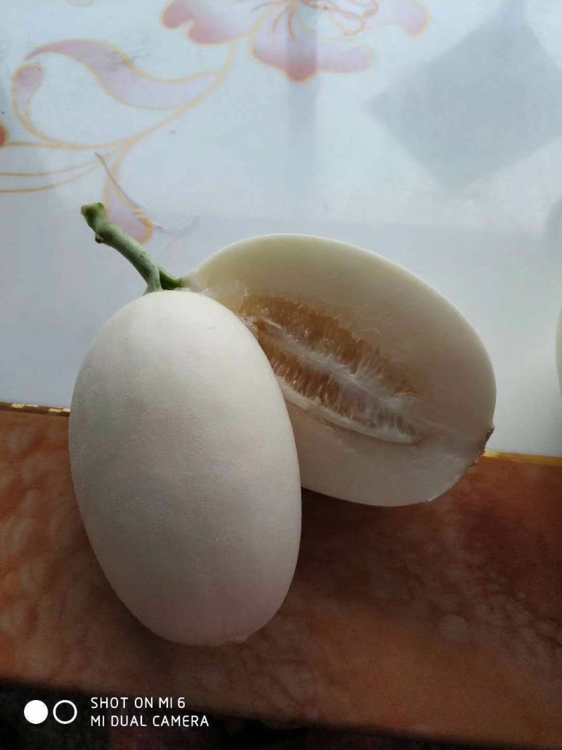 山东潍坊脆梨大量上市质量杠杠的