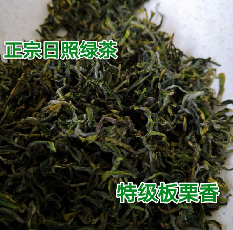 【喝好茶】2023新茶厂家批发正宗日照绿500g包邮尝鲜